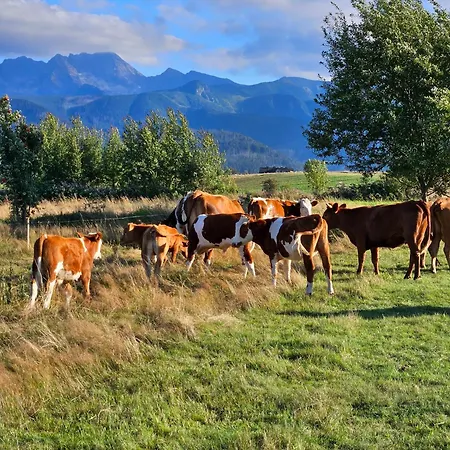 Prázdninový dům Luxusowa Jurta Z Widokiem Na Gory - Jacuzzi, Sauna, Split Ac, Private, Star View Zakopane