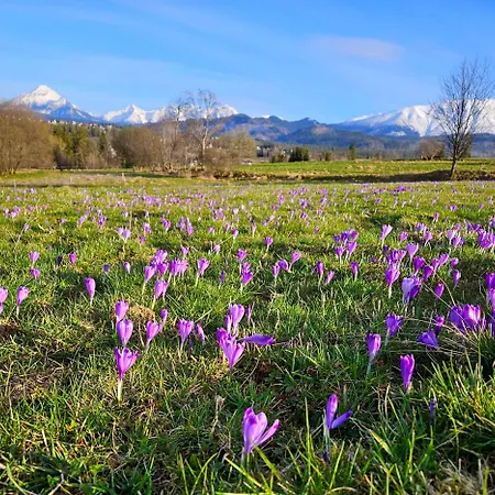 Luxusowa Jurta Z Widokiem Na Gory - Jacuzzi, Sauna, Split Ac, Private, Star View * Zakopane